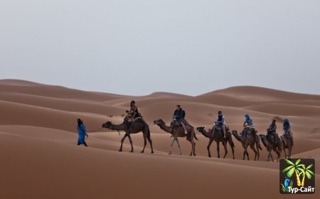 Приключенческий туризм пустыня