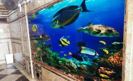 Александрийский аквариум
